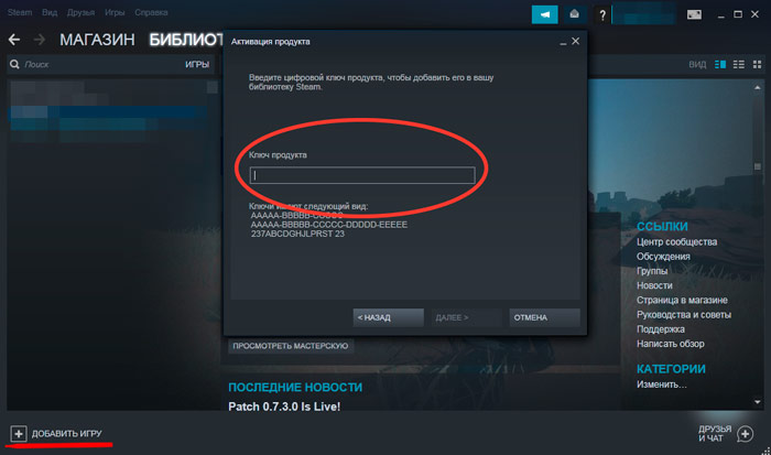 Как активировать ключ в стиме