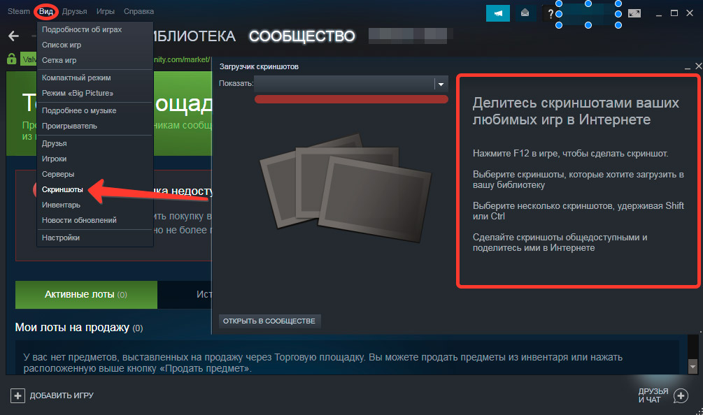 как делать скриншоты в стиме и посмотреть их потом