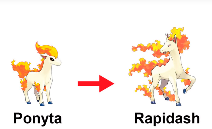рапидаш из покемона