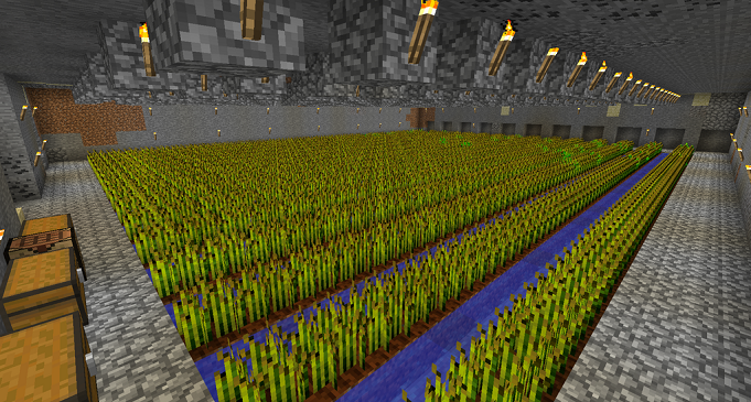 Гайд по Майнкрафту: Как вырастить пшеницу