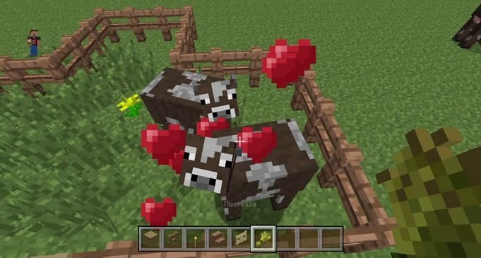 Как разводить скот в Майнкрафте