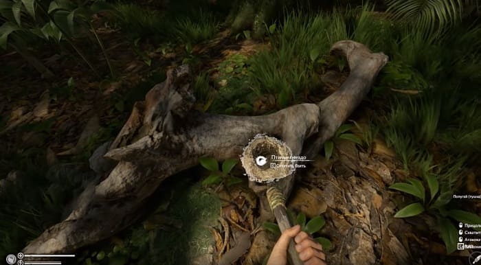 Green Hell игры на выживание на пк