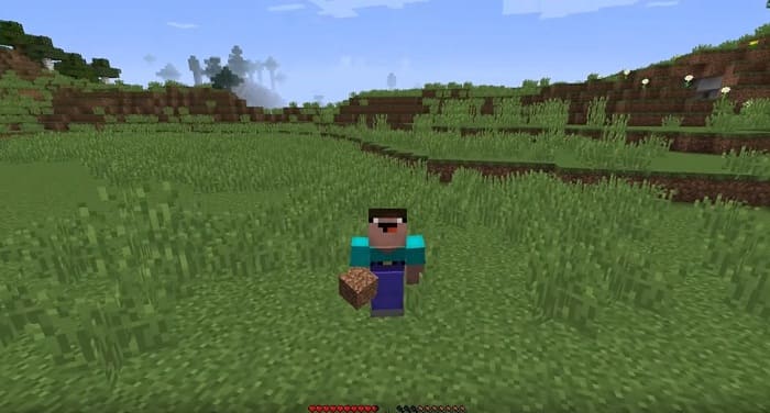 MINECRAFT vizhivanie