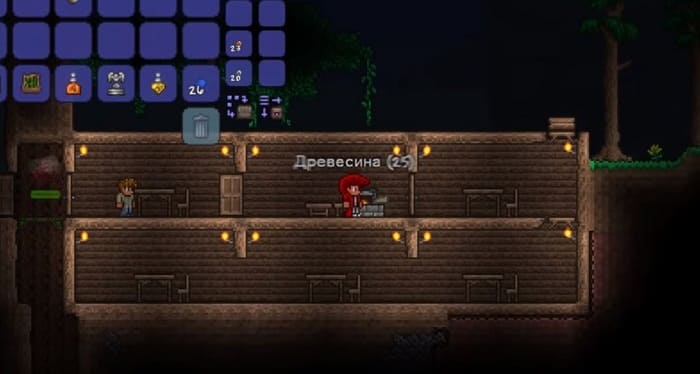 Terraria vizhivanie