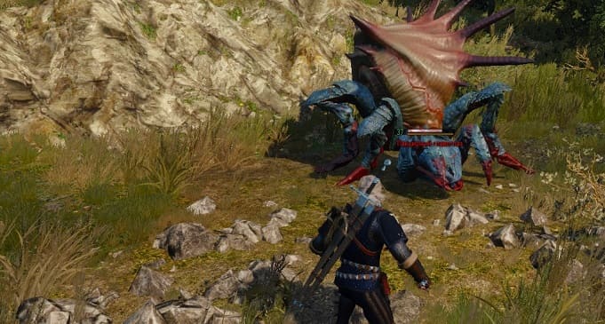 8 главных правил прокачки персонажа в Ведьмак 3