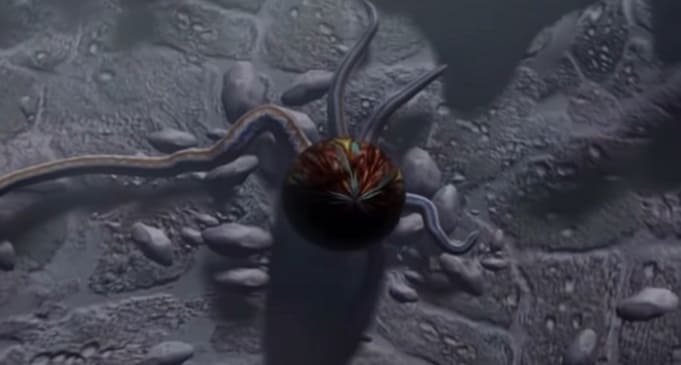 ТОП 25 игр, похожих на Spore