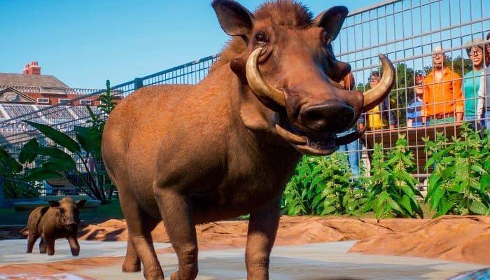 Planet Zoo симулятор жизнь зоопарка