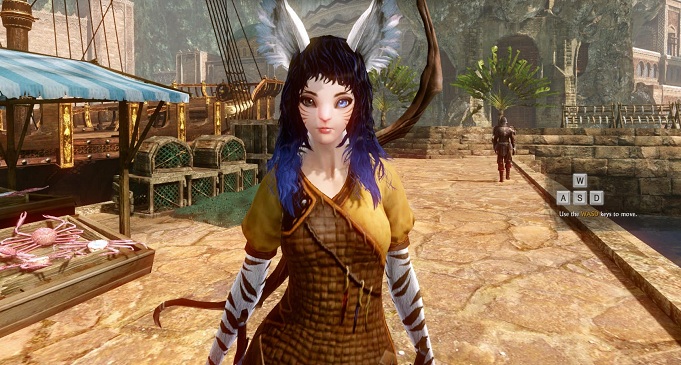 Топ MMORPG на ПК — лучшие клиентские онлайн игры