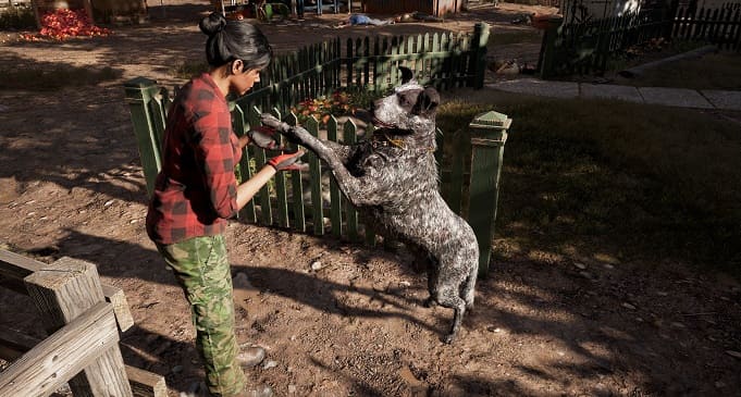 ТОП 17 игр про лучших друзей человека на ПК. Игры про собак