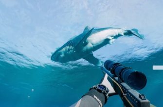 игры про акул на пк