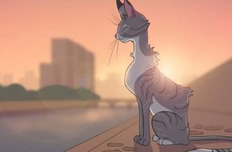 игры про котов