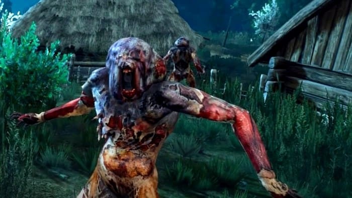 Гнилец Ведьмак