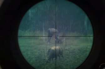 игры про охоту на пк