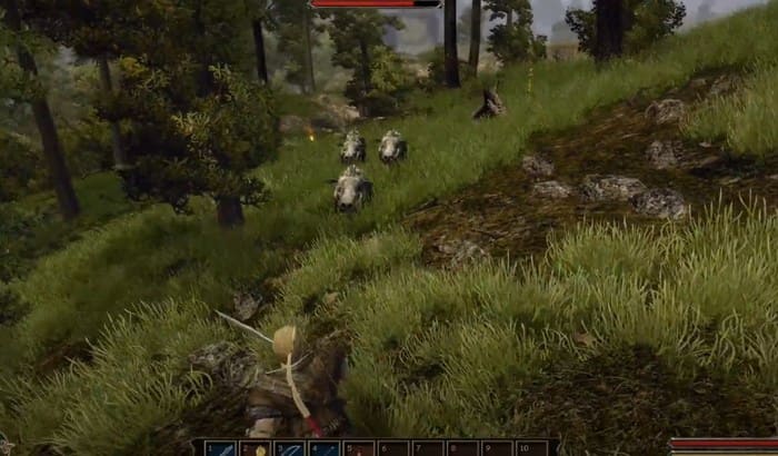 Кабаны Gothic 3