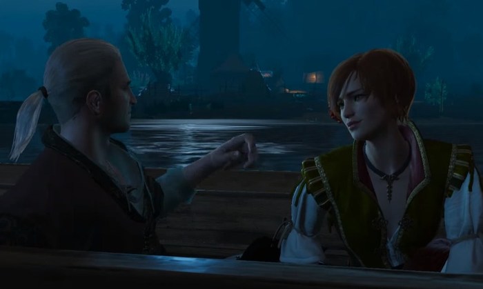 Шани роман ведьмак 3