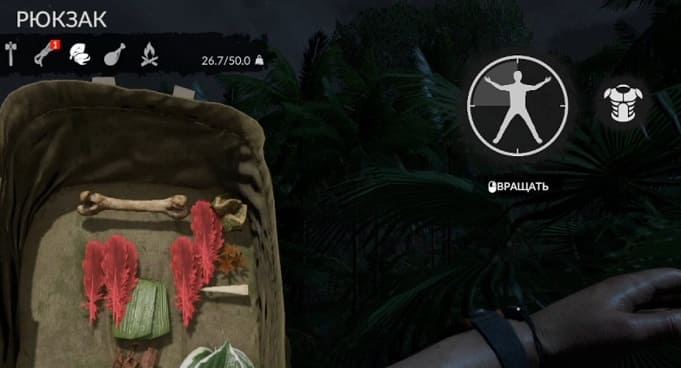 Обзор Green Hell — игры про выживание в джунглях