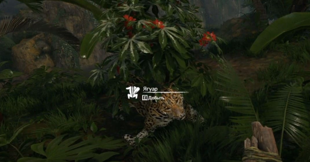 выживание в green hell