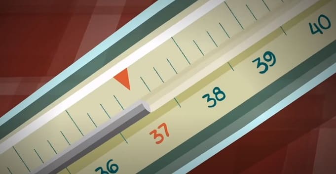 Cyberpunk 2077: системные требования, сайт Найт-Сити, районы и банды