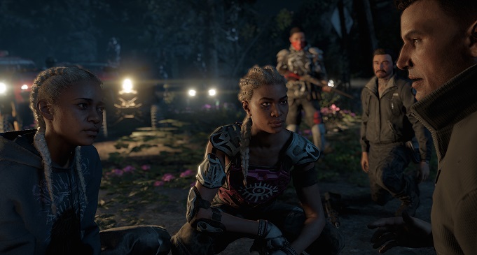 Far Cry серия игр New Dawn