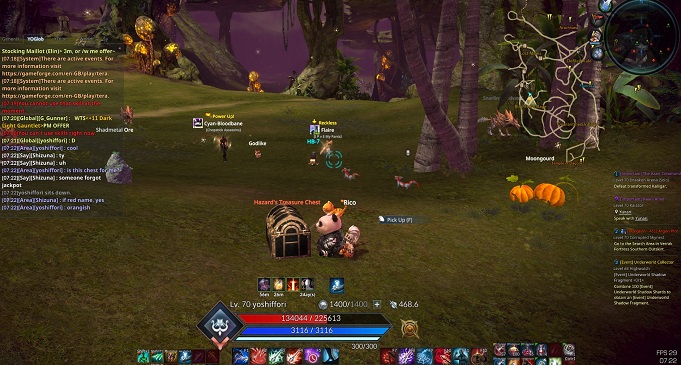 Tera Online MMORPG для слабых ПК