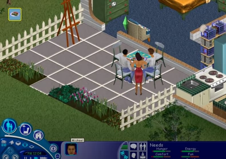 The SIMS