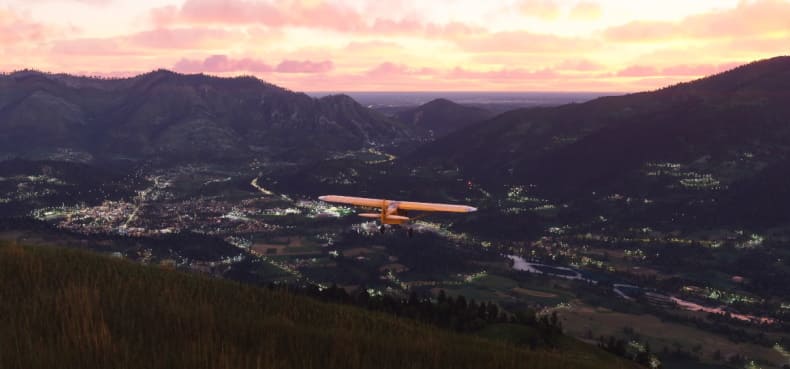 Microsoft Flight Simulator