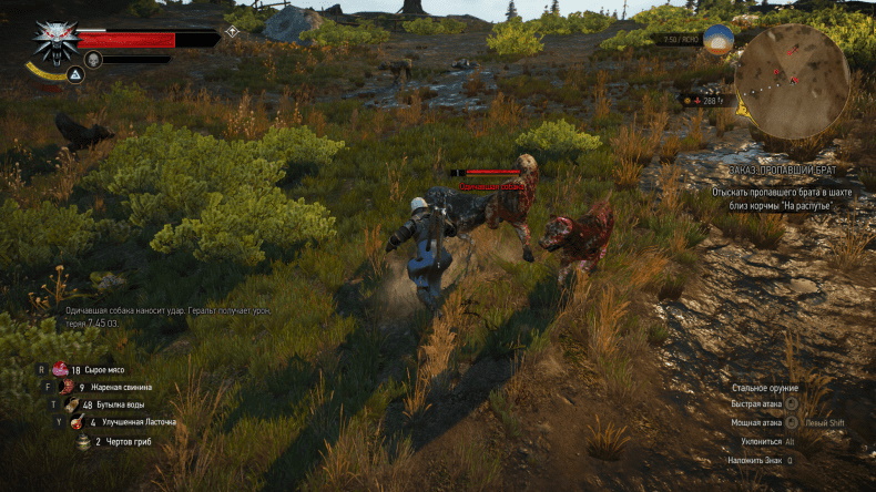 Ведьмак убийца собак