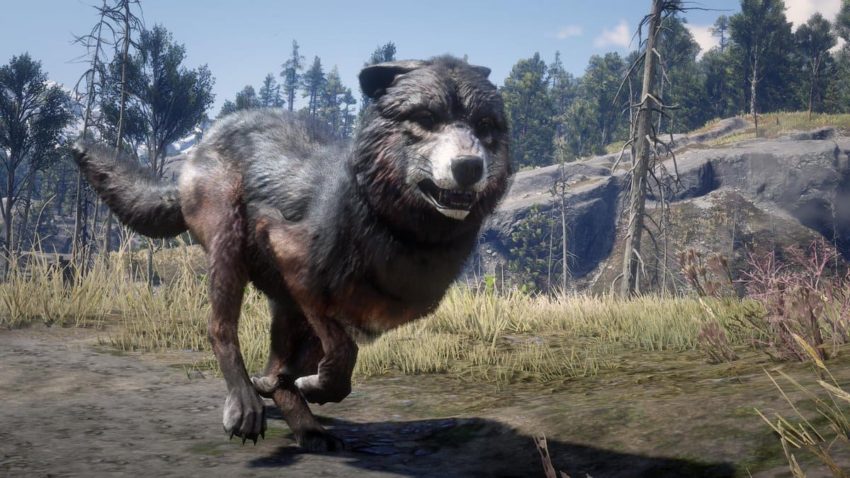 Red dead redemption 2: легендарные животные