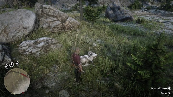 Red dead redemption 2: легендарные животные