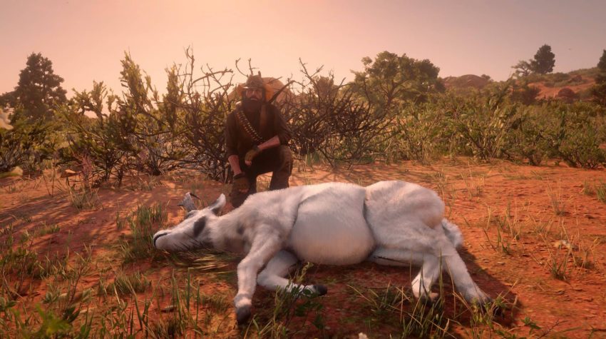 Red dead redemption 2: легендарные животные