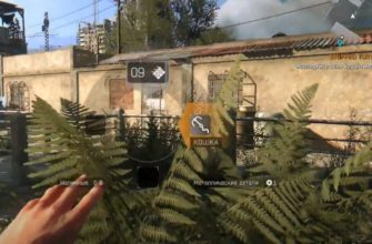 Кошка в Dying Light