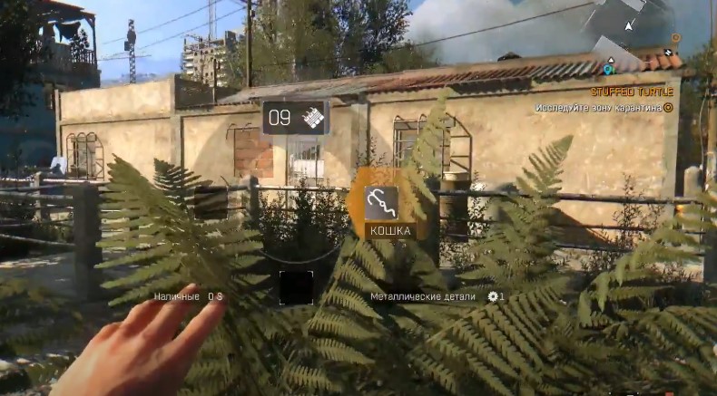 Кошка в Dying Light