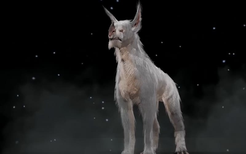 Кубрау в Варфрейме