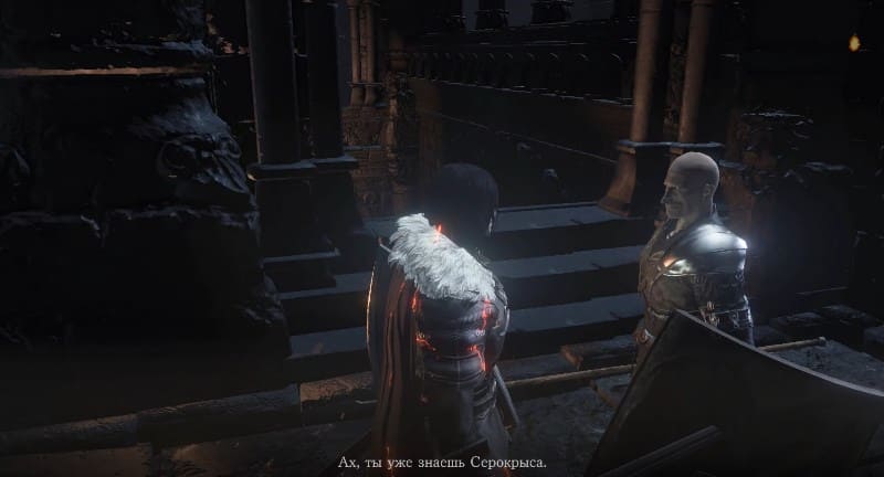 Разговор с Лоскутиком о Серокрысе