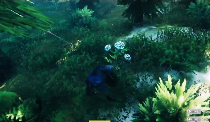 Подробный гайд по земледелию в Valheim: как сажать семена