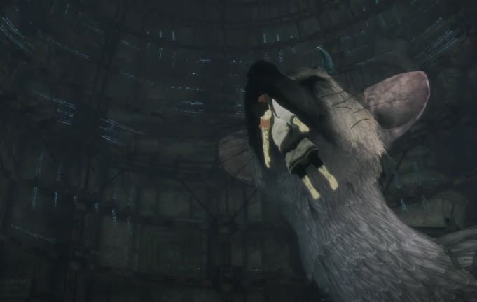 Игра The Last Guardian