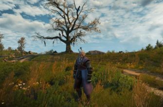 Как посмотреть ФПС в «Ведьмаке 3»