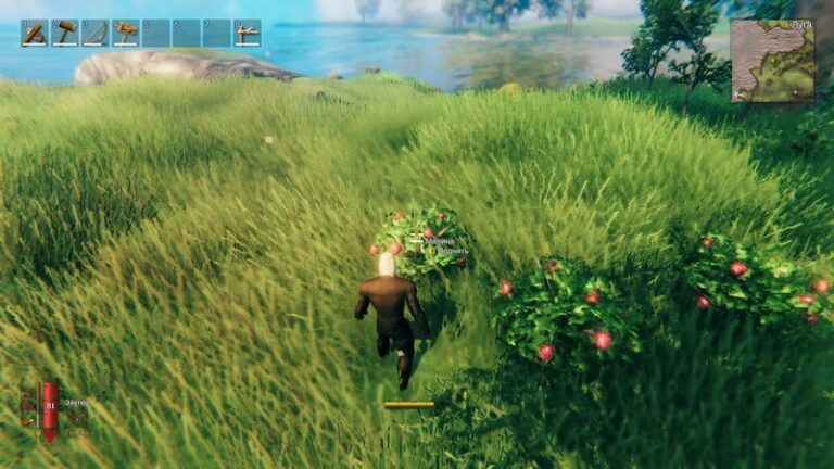 мод Berry Planting