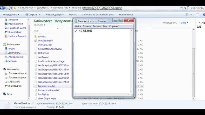 Узнаем версию игры Sims 4