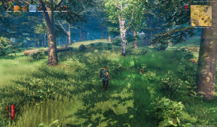 Виды древесины в игре Valheim