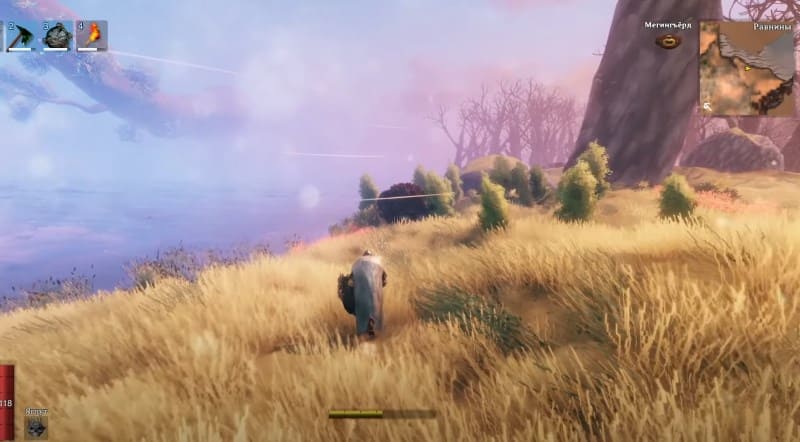 Равнины в игре Valheim