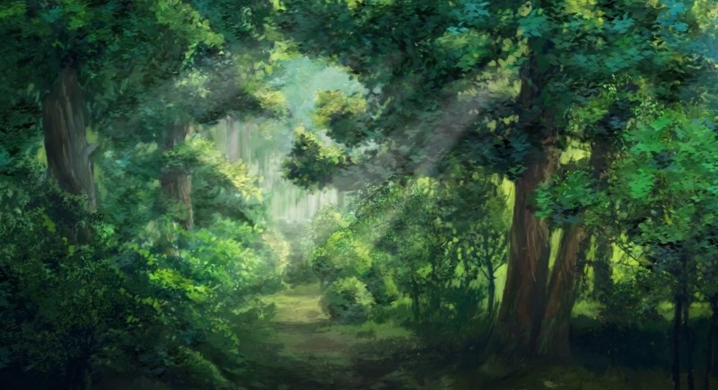 Тропинка в лес