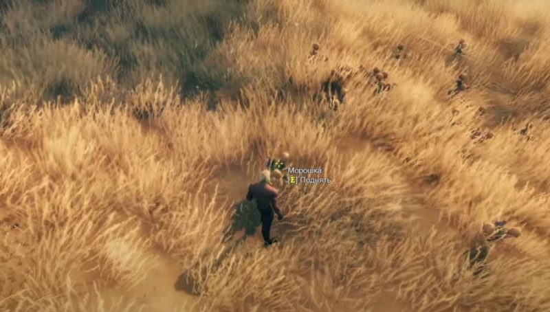 Заготовка морошки