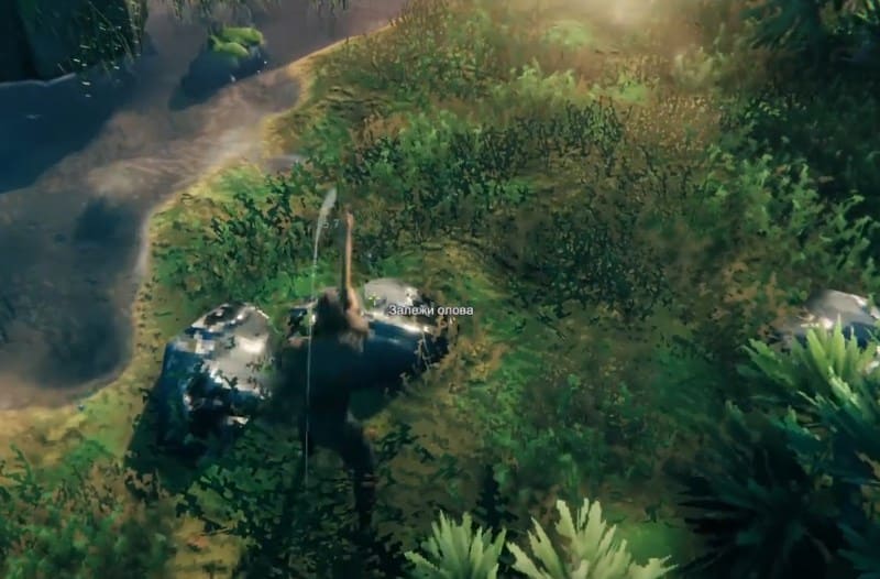 Залежи олова в Черном лесу