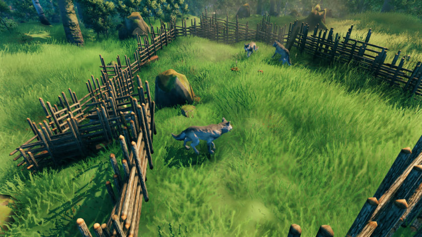 Как приручать волка в Valheim?