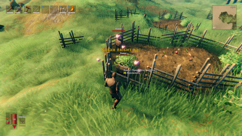 Как приручить кабана в Valheim?