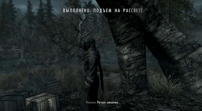 Как вылечиться от вампиризма в Скайриме?