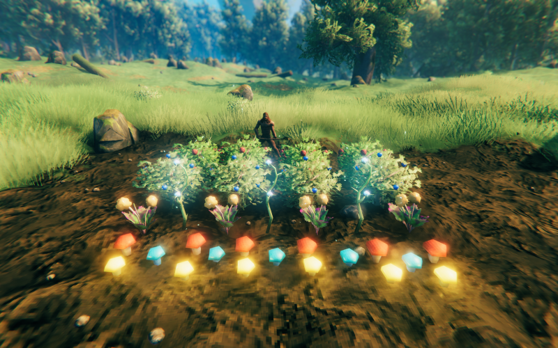 Valheim - как выращивать ягоды?