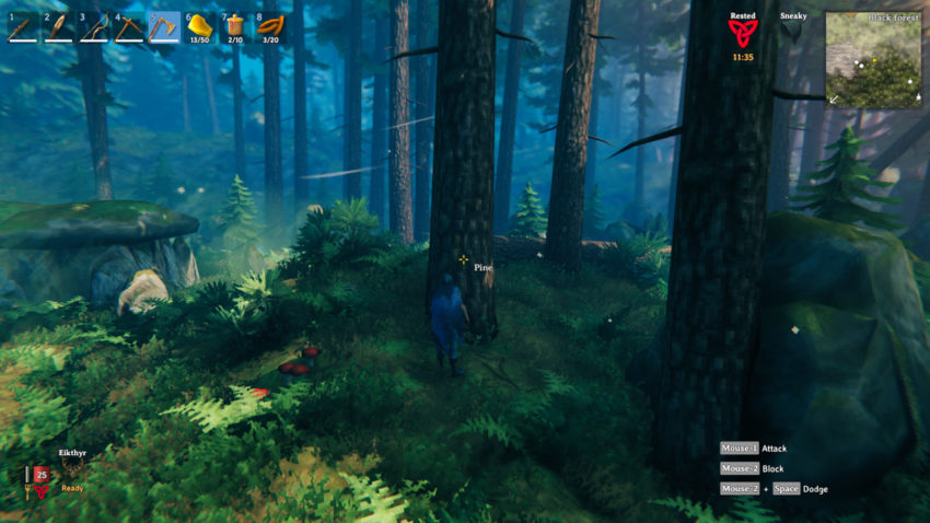 Где найти семена в игре Valheim 