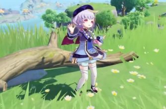 Гайд Genshin Impact - Цици